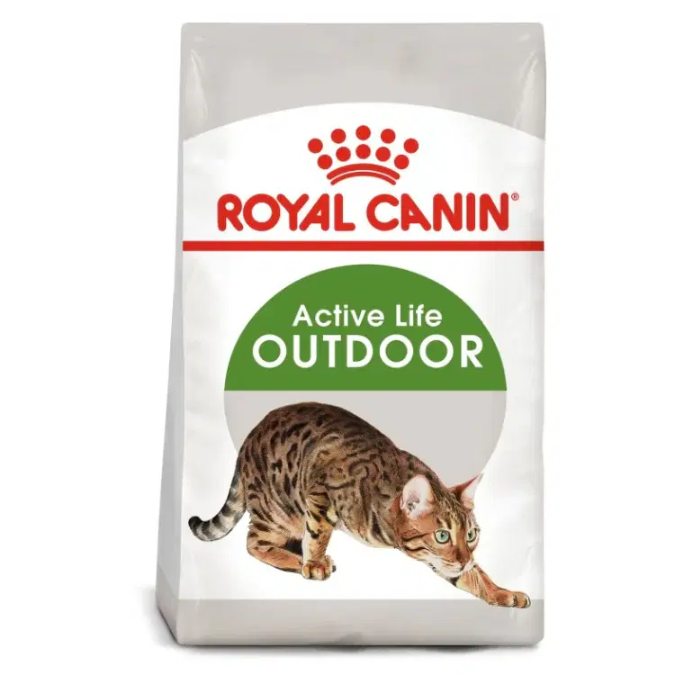 rc-cat-outdoor.webp