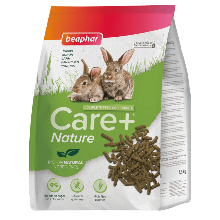 beapher-rabbit-rabbit.png