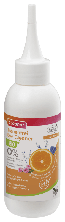 beapher-cat-dog-eye.png