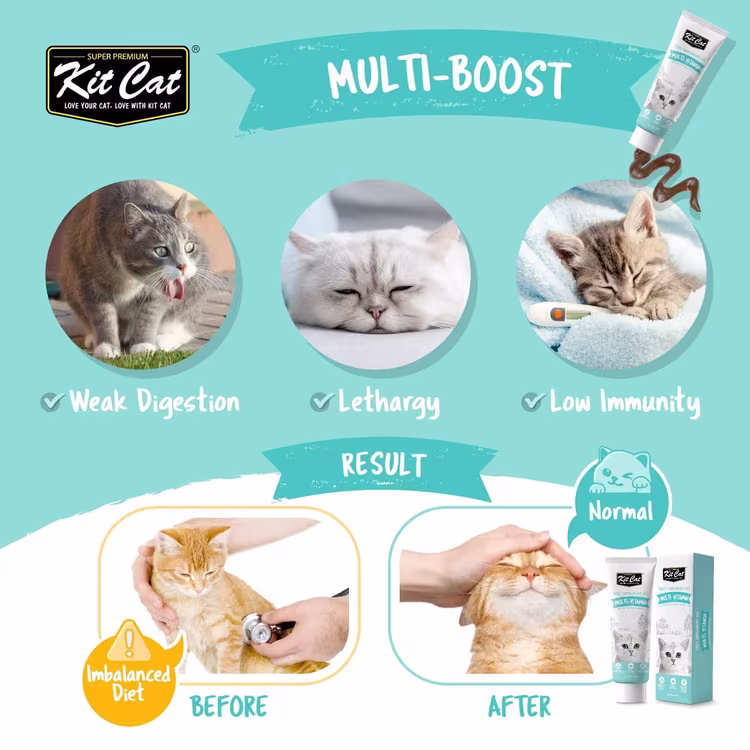 Kit Cat Daily Supplement Gel Multi-Vitamin Cat & Kitten 120g2.avif